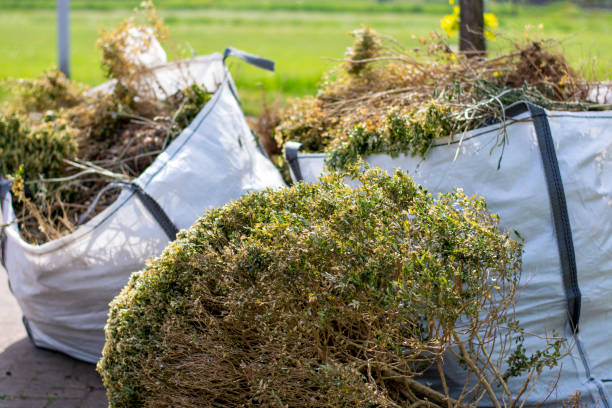 Best Residential Junk Removal  in Viera West, FL